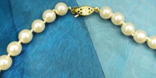 Collar de perlas 50 cm