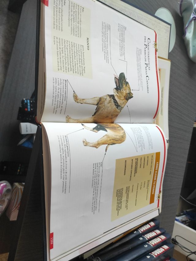 Colección Mi Perro Mi Amigo