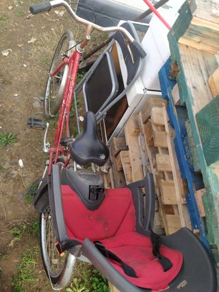 bicicleta mujer paseo antigua bh con silla niños