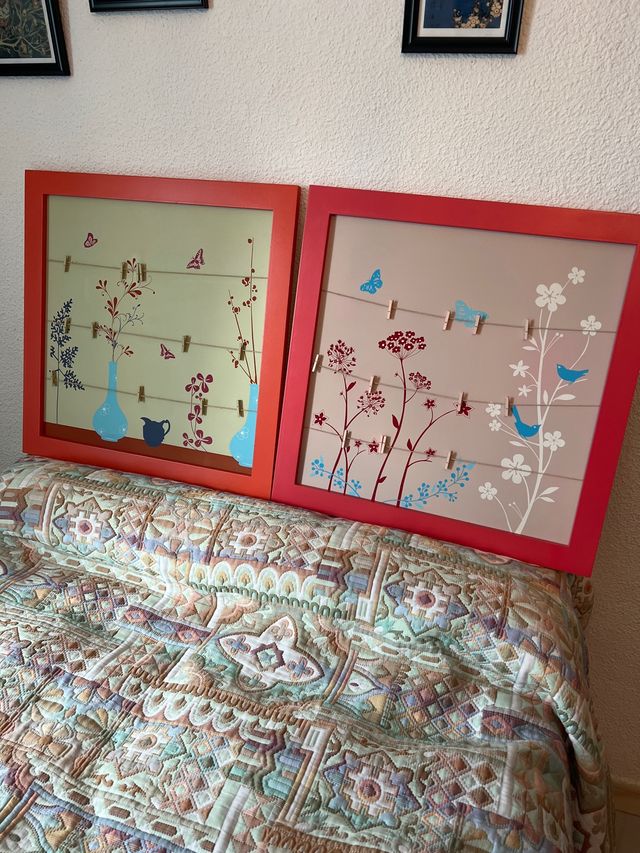 Conjunto de 2 cuadros de pinzas