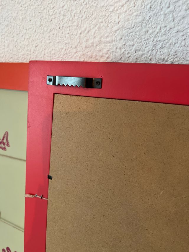 Conjunto de 2 cuadros de pinzas