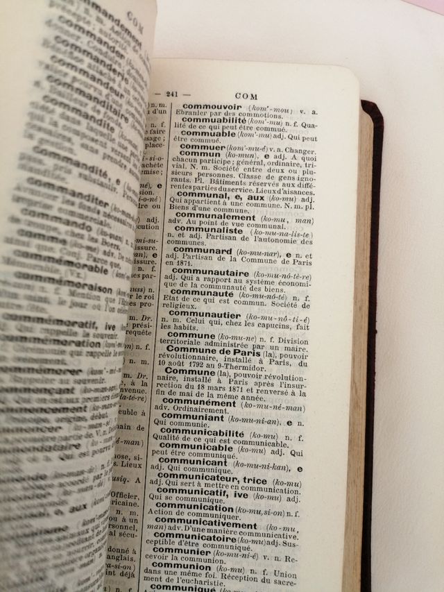 libro dictionnaire francese