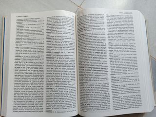 Diccionario Valenciano