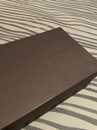 Zapatos Louis Vuitton