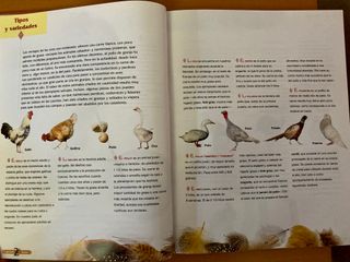 El libro de las Técnicas de Cocina