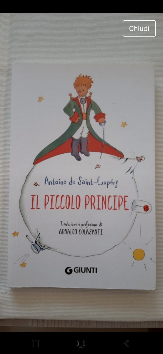 libro Il piccolo Principe