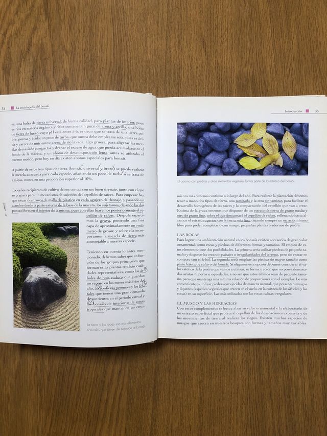 Libro La enciclopedia del bonsái