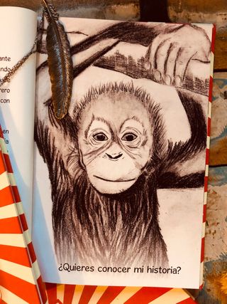 Libro infantil-juvenil