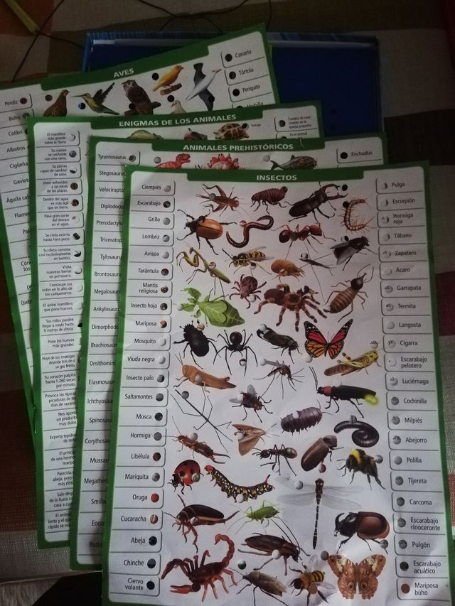 Educa Borrás - Conector Mundo Animal