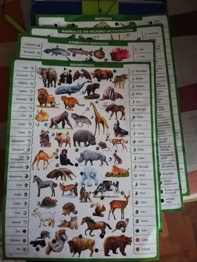 Educa Borrás - Conector Mundo Animal