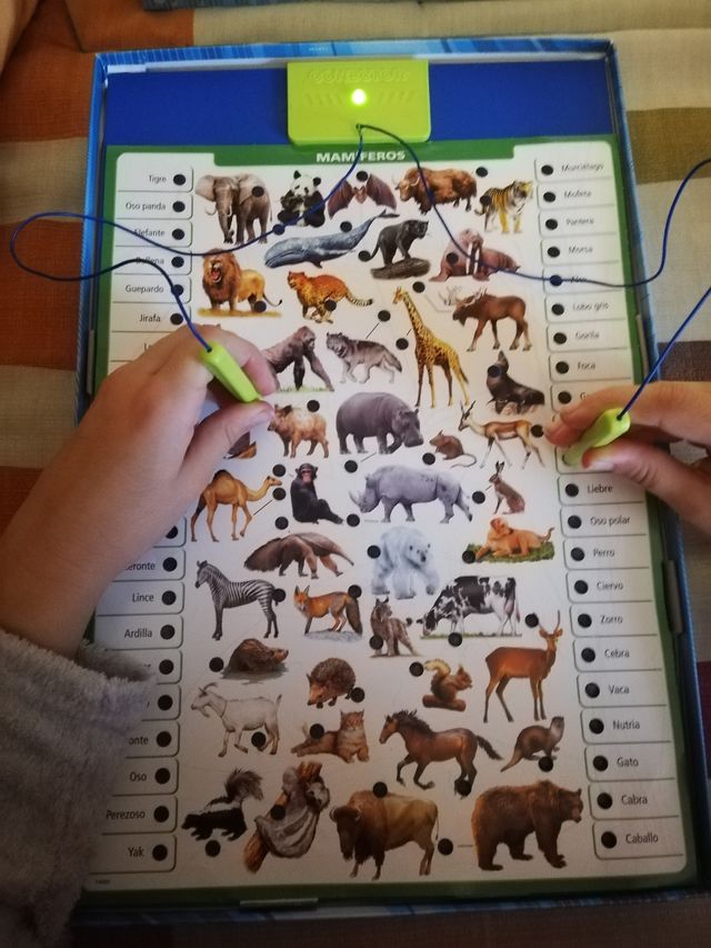 Educa Borrás - Conector Mundo Animal