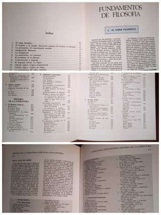 El saber SI ocupa lugar - ENCICLOPEDIA temática