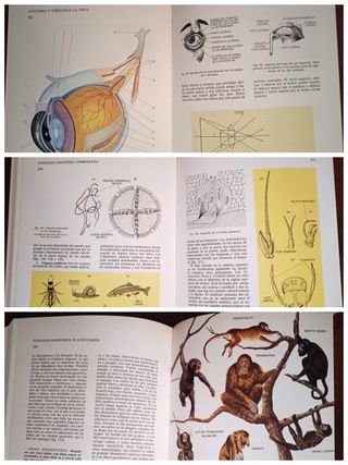 El saber SI ocupa lugar - ENCICLOPEDIA temática