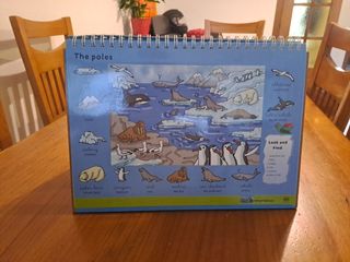 Libro ilustrado de inglés. Words and pictures