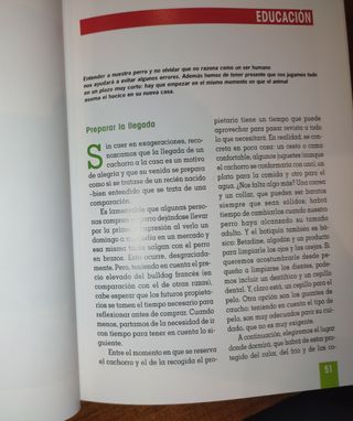 Libro Bulldog Francés.