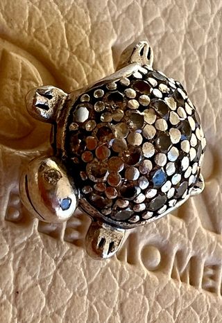 Charm Pandora