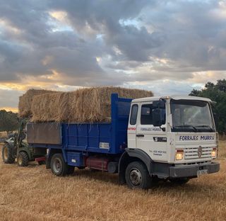 Renault Midliner 1994