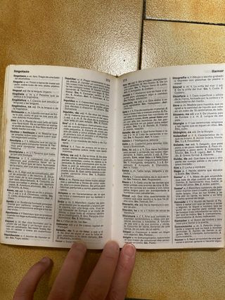 Diccionario básico de la lengua española