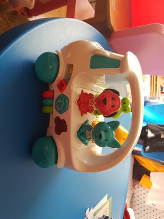 COCHE CON ANIMALITOS