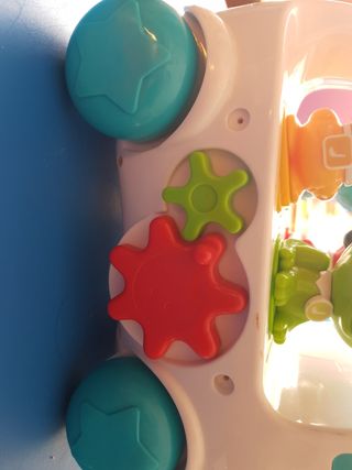 COCHE CON ANIMALITOS