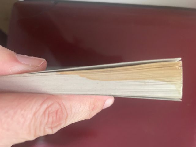 Sentimientos de Herminio Caballero Rico