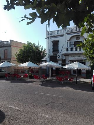 Oficina - Local en alquiler