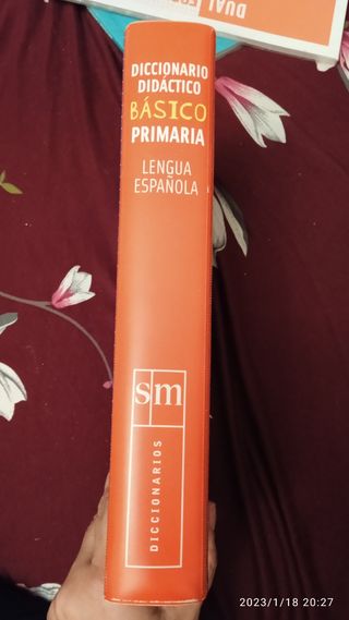 DICCIONARIO SM PRIMARIA 