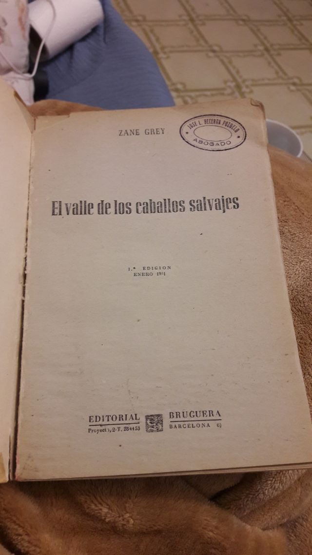 El Valle de los caballos salvajes