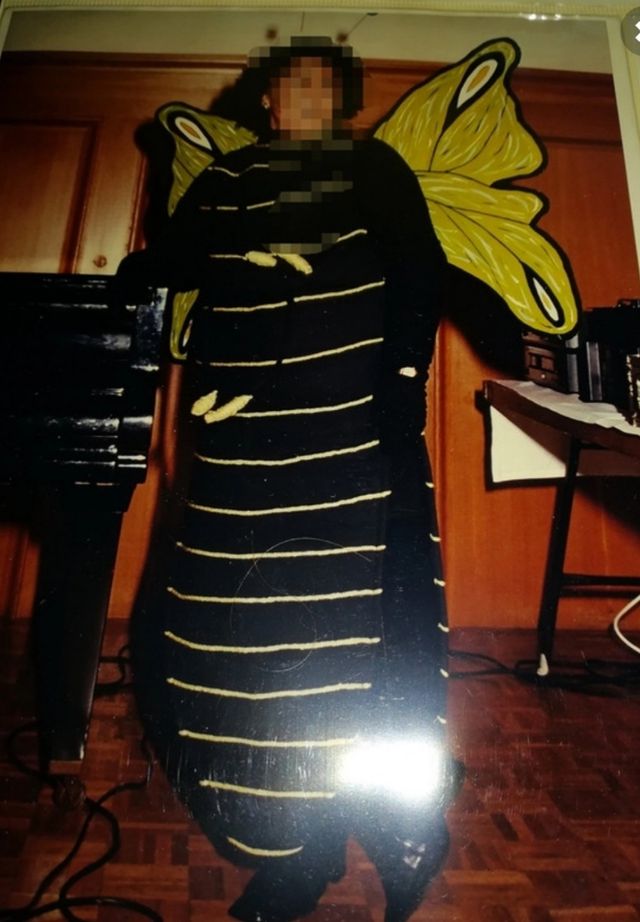 DISFRAZ CARNAVAL MARIPOSA