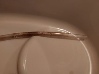 Bañera cambiador Chicco