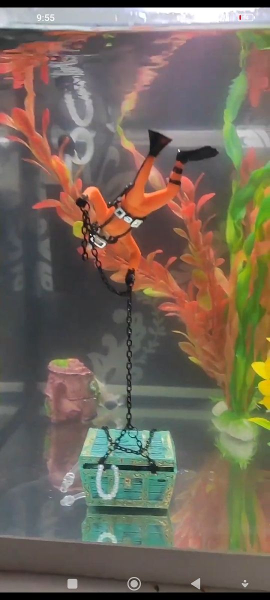 acuario con accesorios