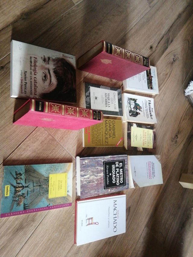 Literatura española e hispanoamericana