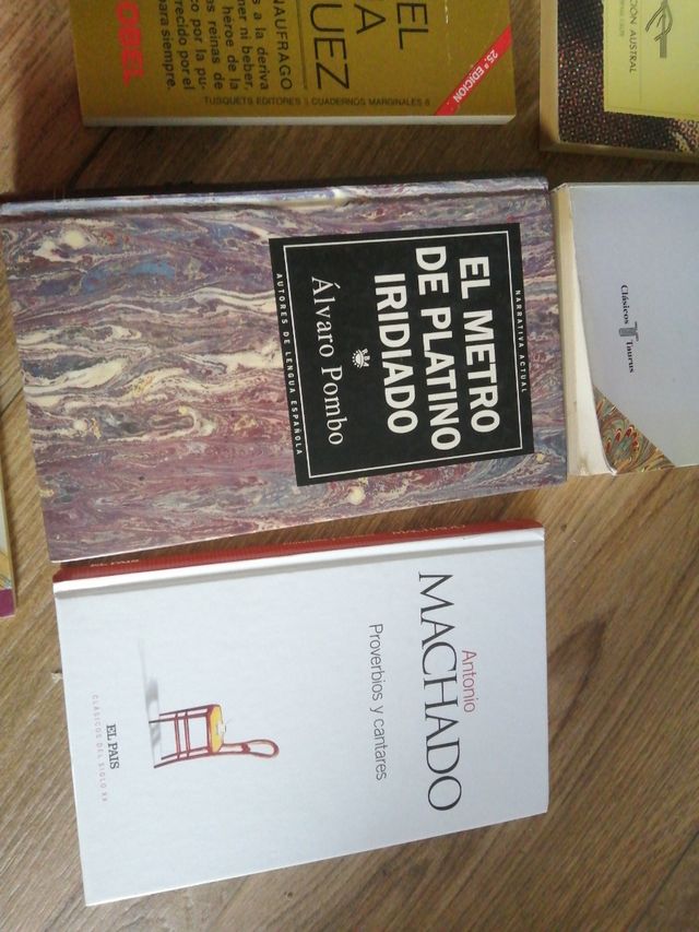 Literatura española e hispanoamericana