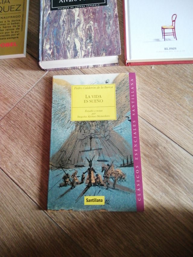 Literatura española e hispanoamericana