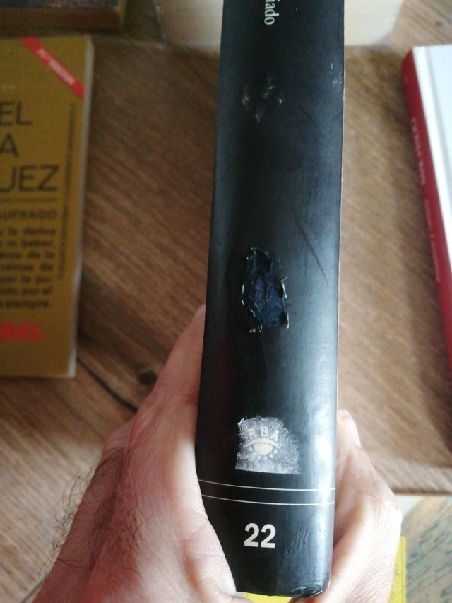 Literatura española e hispanoamericana