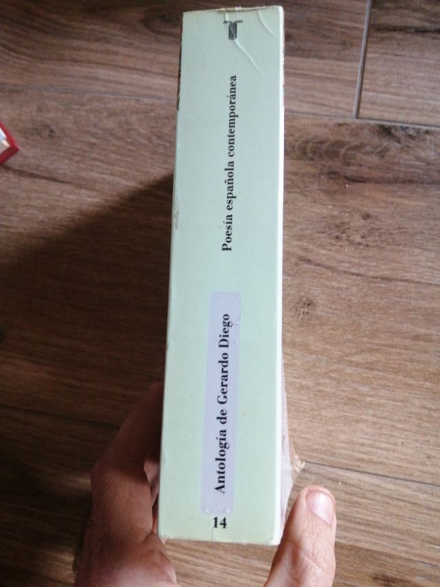 Literatura española e hispanoamericana