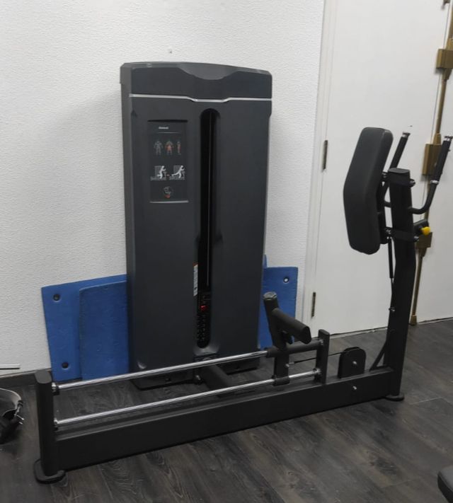 maquina de patada de gluteo a placas