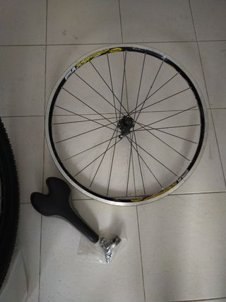 bici BH expert geometry type