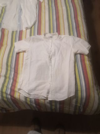 lote camisas