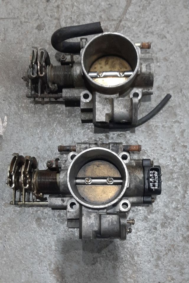 Mariposas Subaru Impreza