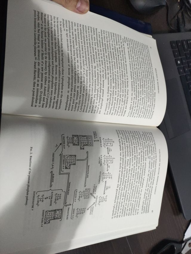 Reflections on Biochemistry
