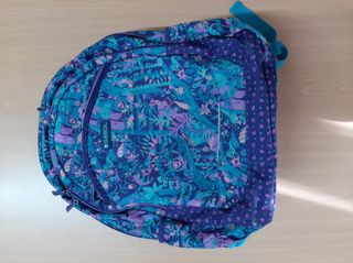 Mochila Escolar Adaptable Gabol Fancy.