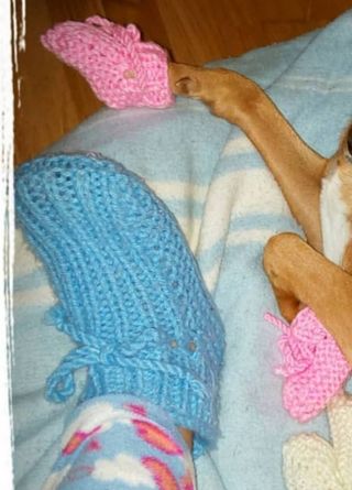 🧦💎❤PATUCOS ABUELAS🧡💎🧦