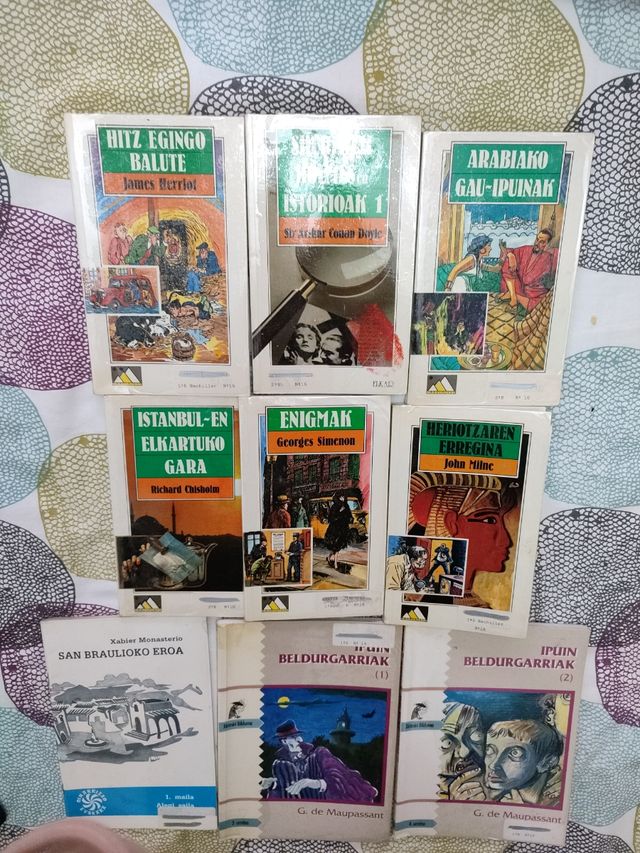 Libros lectura en euskera 9