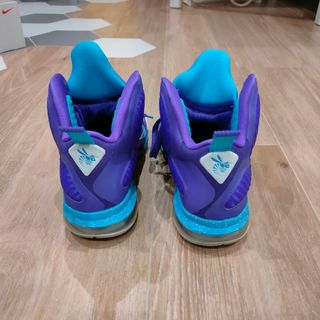 Nike LeBron 9 Summit Lake Hornets