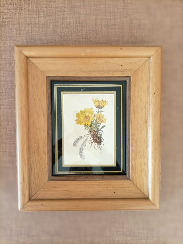 Cuadros estilo vintage