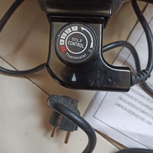 Olla electrica Pizza Pan