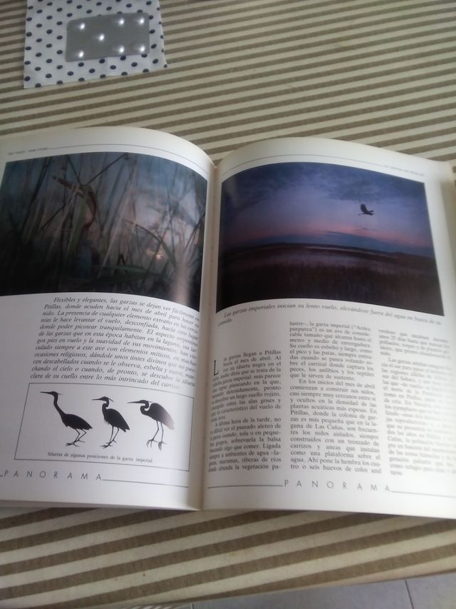 La laguna de Pitillas