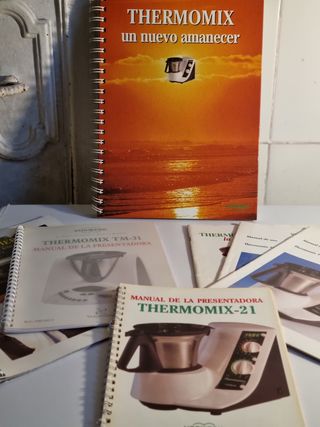 Thermomix TM 21 PRECIO NEGOCIABLE