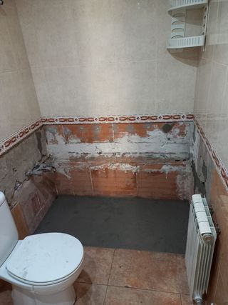 albañil 